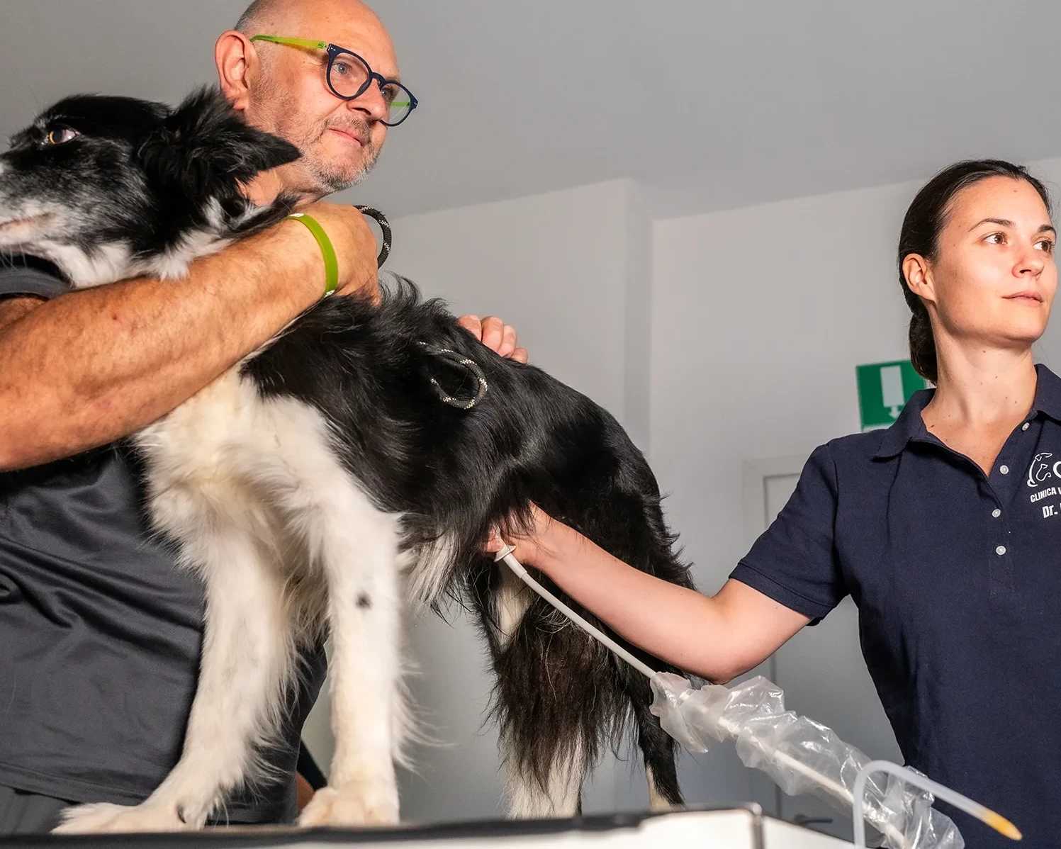 clinica veterinaria flaminia servizi header ecografia radiologia