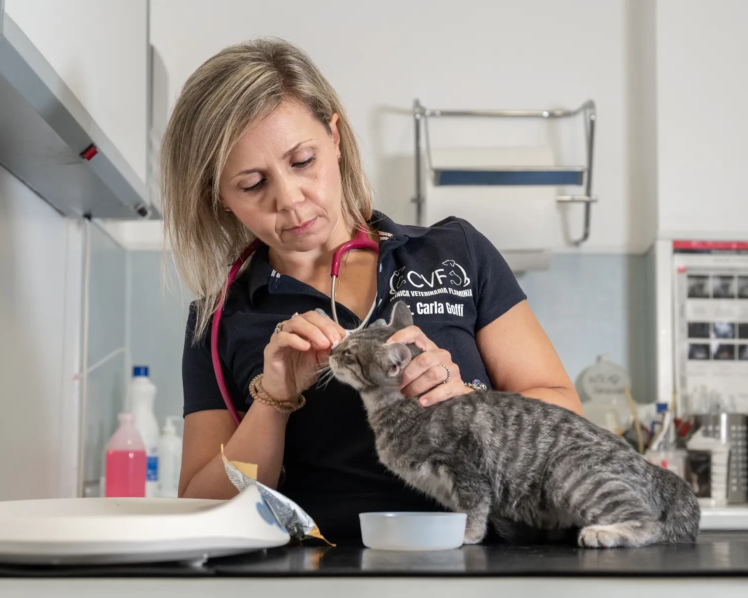 clinica veterinaria flaminia servizi header nutrizione veterinaria